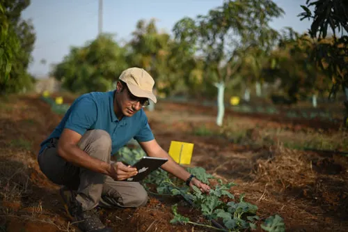 Agriculture